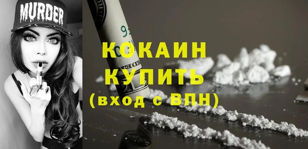 спиды Каменногорск
