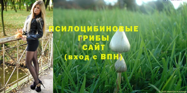 первитин Абинск