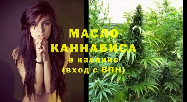 дживик Абаза