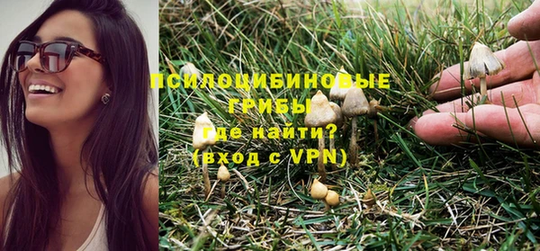 дживик Абаза
