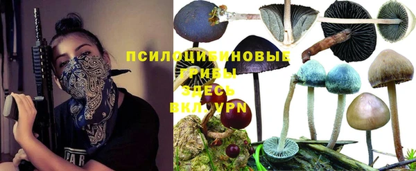 первитин Абинск