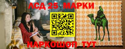 mdpv Обнинск