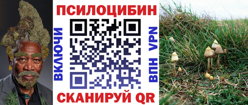 купить наркотик  Тверь  Галлюциногенные грибы Magic Shrooms 